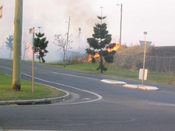 04 the bush fire season started