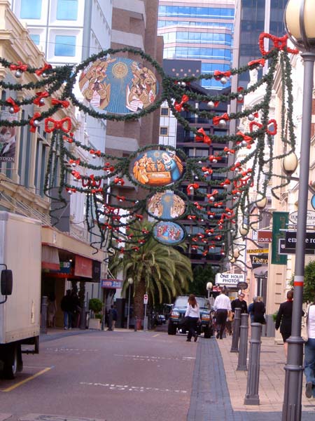 06 Christmas decoration with palm tree and 40 degrees feels different